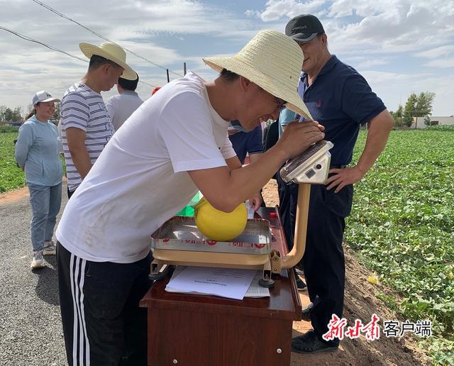 專家在現場對基地種植的甜瓜進行測產