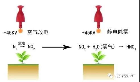 3.靜電除霧器原理