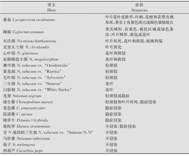 ToBRFV的寄主范圍和侵染引起的癥狀