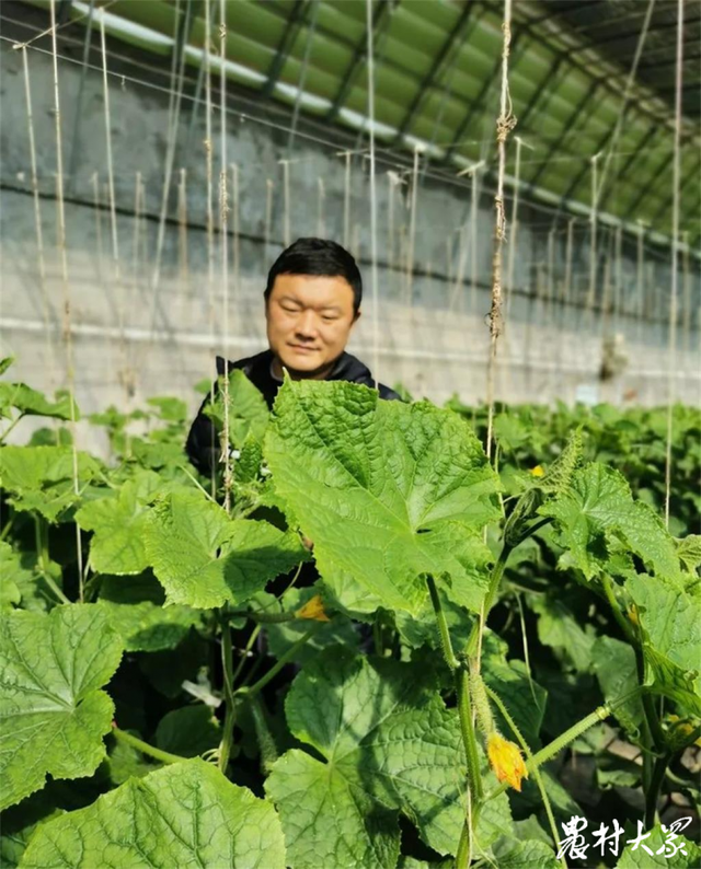 郭軍見在蔬菜大棚里（資料圖）