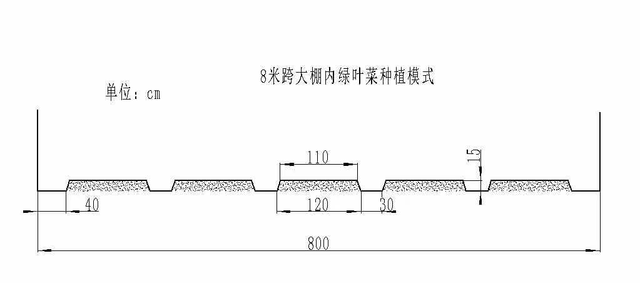 1.南方設(shè)施綠葉類蔬菜標(biāo)準(zhǔn)化種植模式