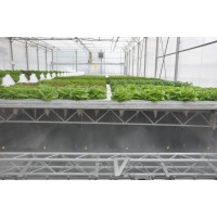 Aeroponic Greenhouse