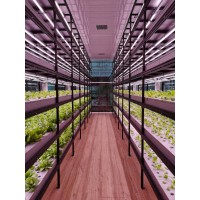 Vertical Farming